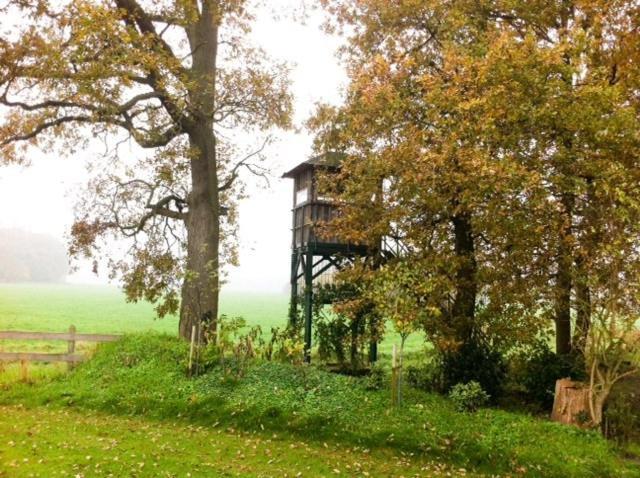 Landhotel Waldseiter Hof Bad Bentheim Exteriér fotografie